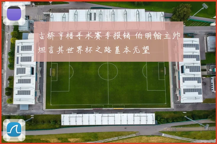 古桥亨梧手术赛季报销 伯明翰主帅坦言其世界杯之路基本无望