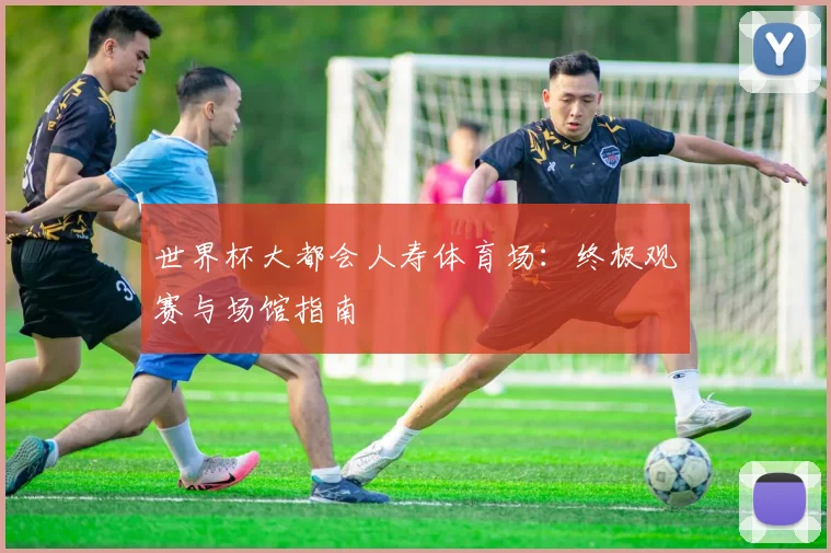 世界杯大都会人寿体育场:终极观赛与场馆指南